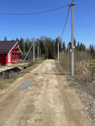 Ленинградская область, Сосновый Бор г.