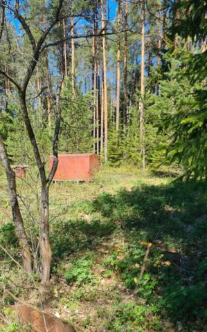 Ленинградская область, Азимут-Электроприбор СНТ, Малая Заречная улица