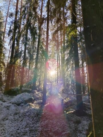 Ленинградская область, Выборг г., 1-й Лилейный пер., 2