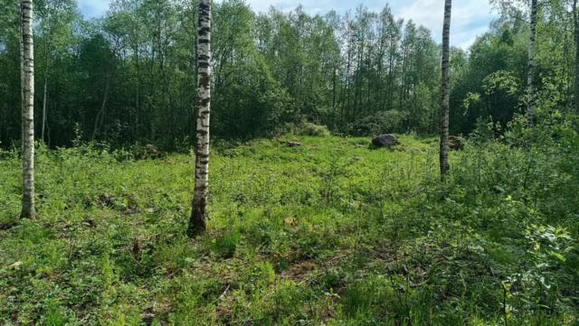 Ленинградская область, Запорожское пос.