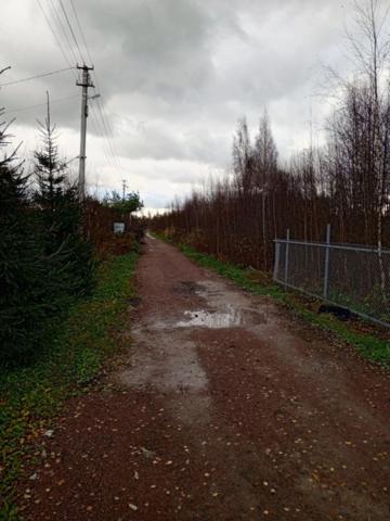 Ленинградская область, Соржа-Рыжики массив, Строитель СТ