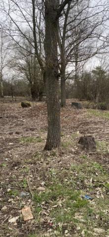 Ленинградская область, Померанье дер., Московское ш., 53