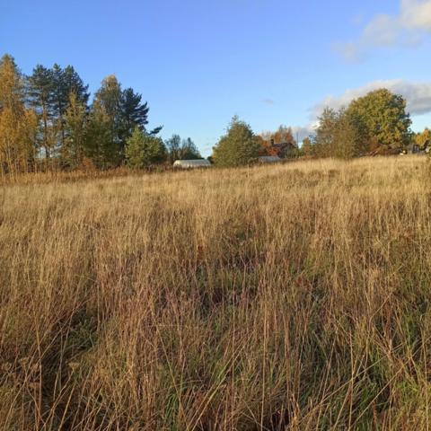 Ленинградская область, Васильево дер.