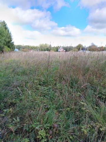 Ленинградская область, Синковицы дер.