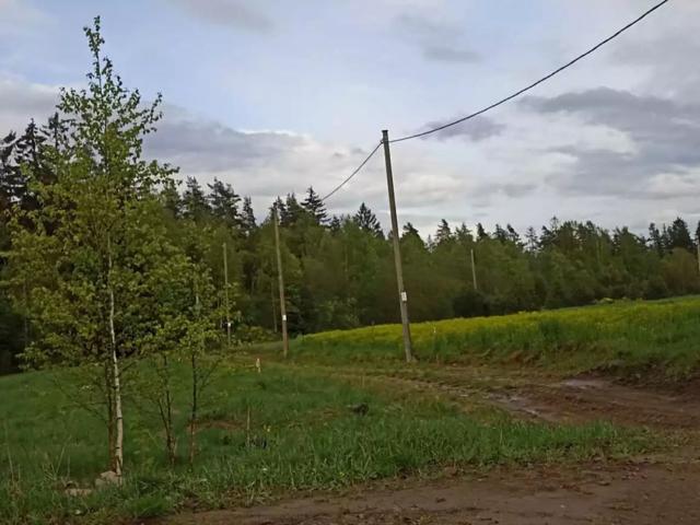 Ленинградская область, Васильево дер.