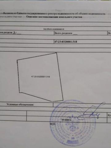 Ленинградская область, Кобралово пос.