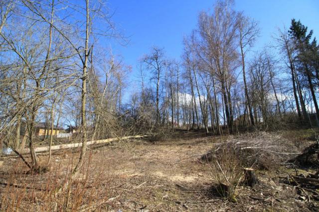 Ленинградская область, Захожье-5 СНТ