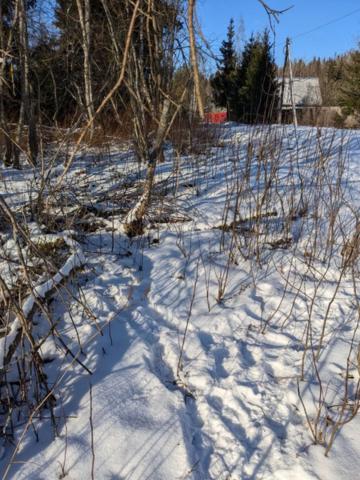 Ленинградская область, Верхнее Черкасово пос.