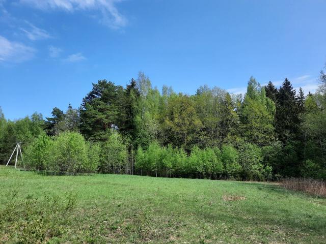 Ленинградская область, Заполье дер.