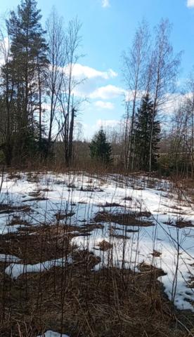 Ленинградская область, Зеленый Холм пос.