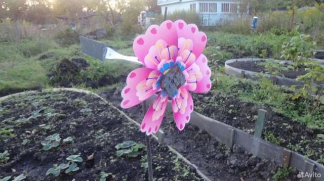 Ленинградская область, Мшинская массив, Нептун СНТ