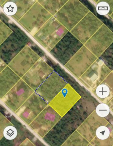 Ленинградская область, Михайловское СТ, Лебяжья ал.