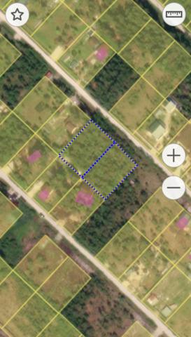 Ленинградская область, Михайловское СТ, Лебяжья ал.