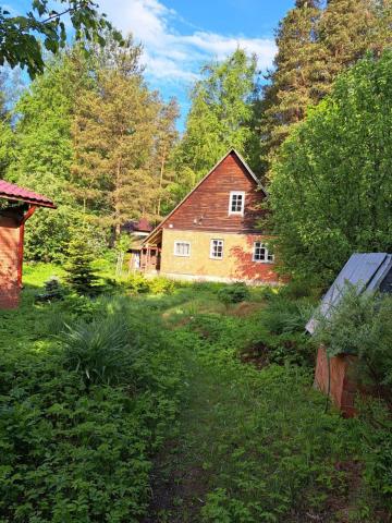 Ленинградская область, Новое Токсово массив, Восход СНТ