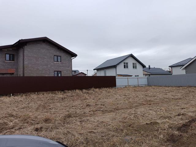 Ленинградская область, Скотное дер.