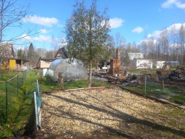 Ленинградская область, Мшинская массив, НПО ВНИИМ имени Д.И. Менделеева СНТ, 199