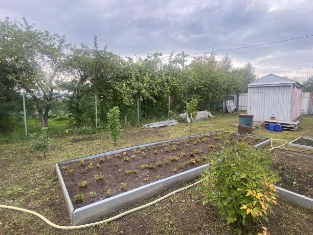 Ленинградская область, городской посёлок имени Морозова, садовые участки № 4