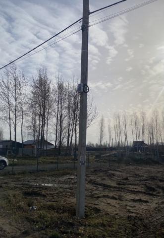 Ленинградская область, Ойнелово массив