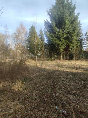 Ленинградская область, Строганово массив, Волна СНТ, 156