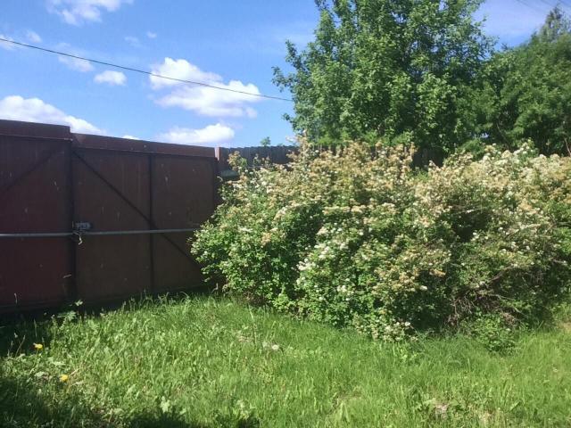 Ленинградская область, Цветково пос., Берёзовая ул., 8