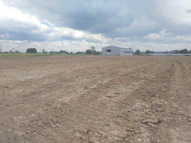 Ленинградская область, Русско-Высоцкое с.