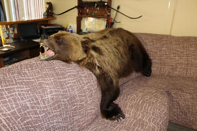 Ленинградская область, Косколово дер., 17