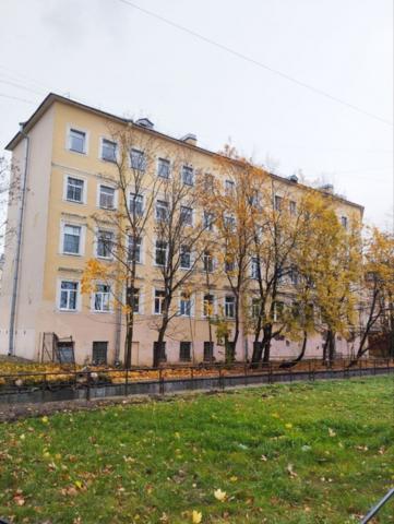 Дворцовый пр., 59