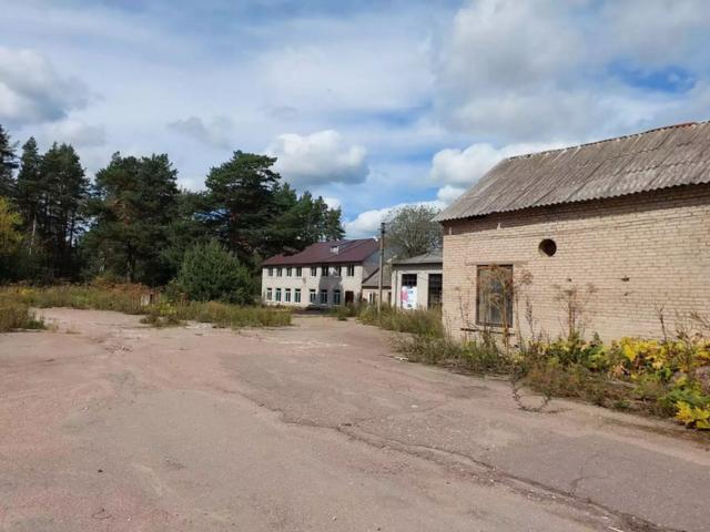 Ленинградская область, Заклинье дер., 28