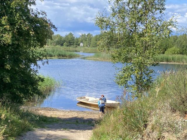 Ленинградская область, Леднево дер.
