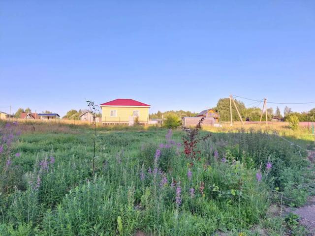 Ленинградская область, Светлое дер., 1211