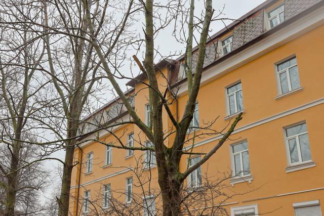 Канонерский остров, 19