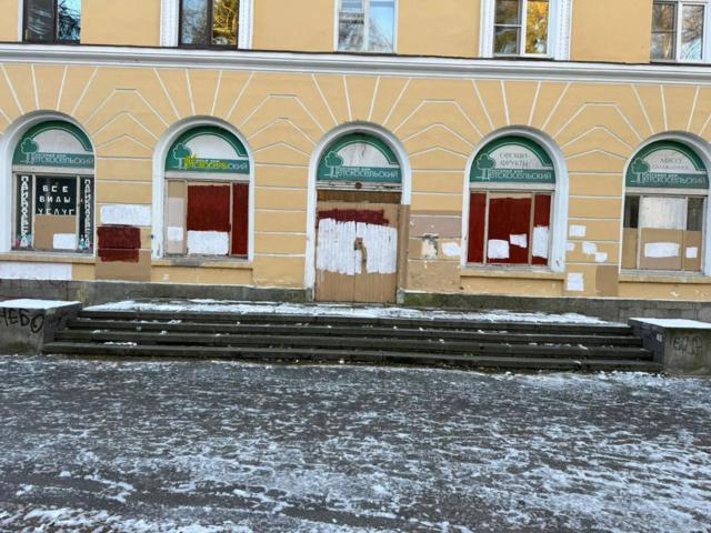 Детскосельская ул., 1/2А