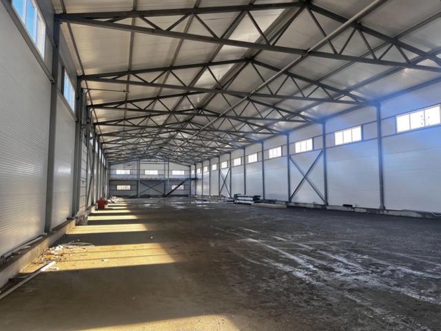 Ленинградская область, Разбегаево дер.