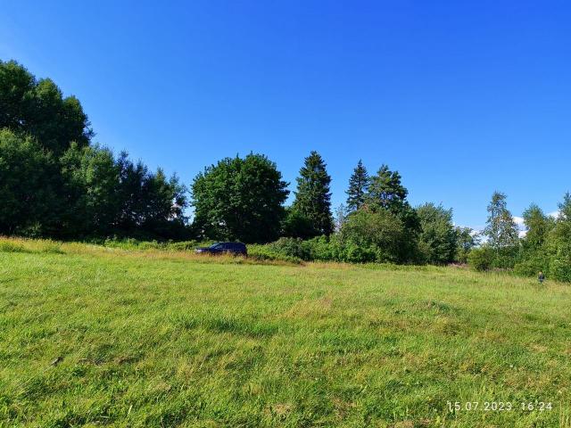 Ленинградская область, Ермилово пос., Приморское шоссе