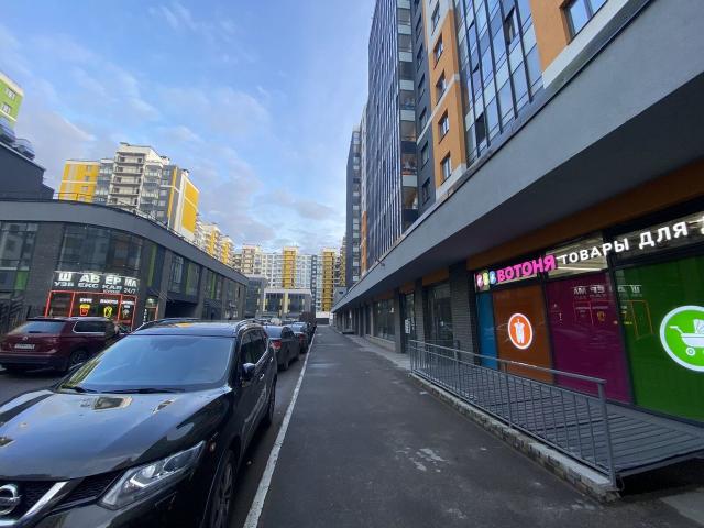 Старорусский пр., 8