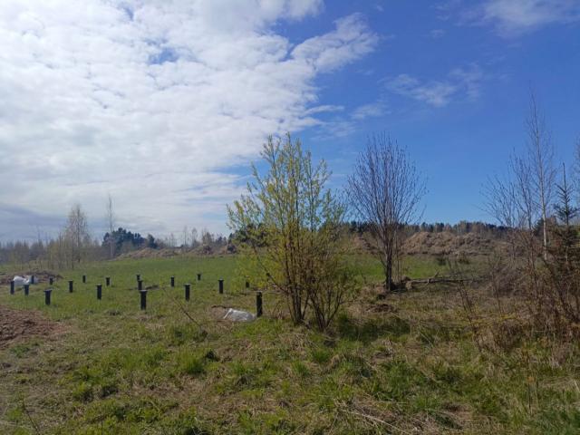 Лебяжье пос