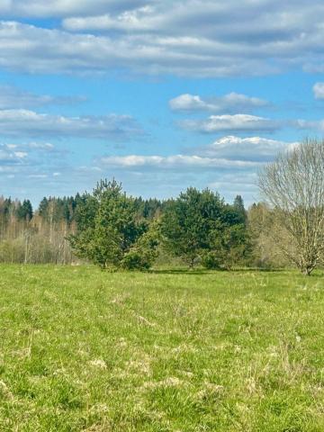 Рождествено село