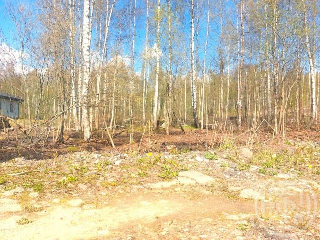 Парголово пос., Вокзальное шос.