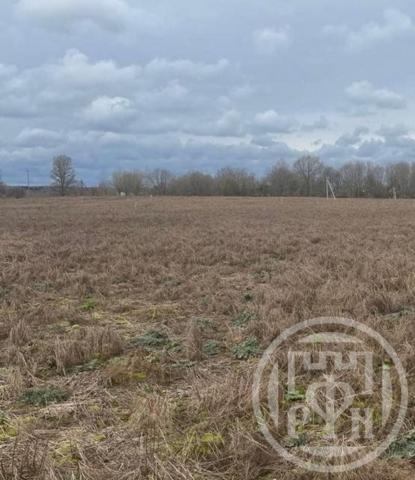 Сланцы г., Баранова ул.