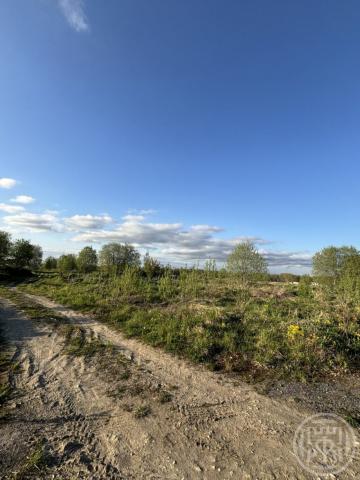 Воронино дер.