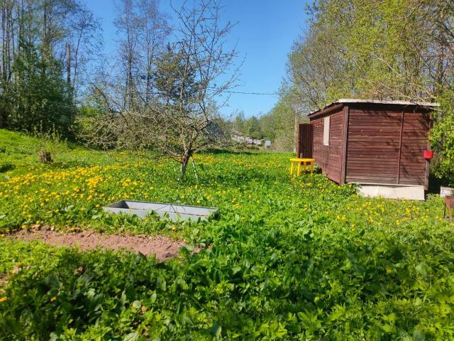 Красноармейское сад., 68