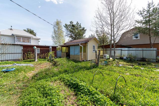 Ленинградская область, Дунай СНТ