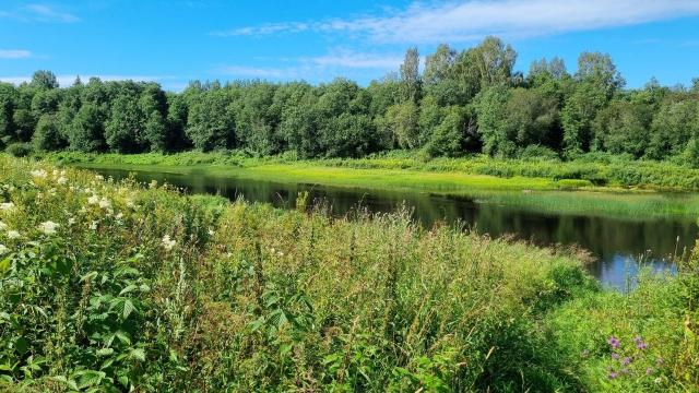 Ленинградская область, Кривой Наволок дер.