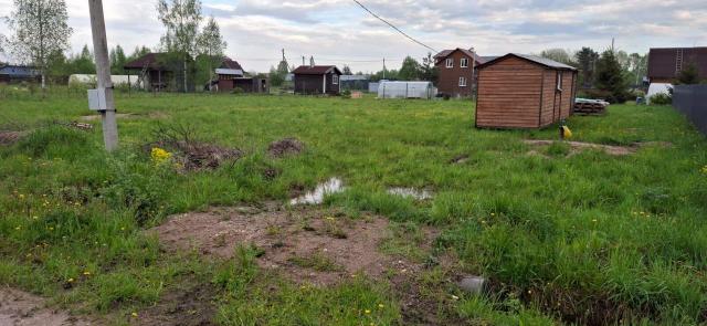 Ленинградская область, Заповедное ДНП, 15А