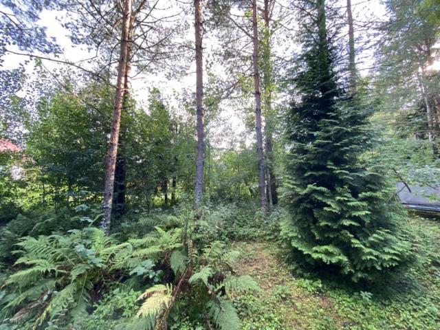 Ленинградская область, Дружба ДПК