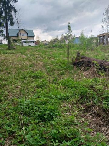 Ленинградская область, Стеклянный пос.