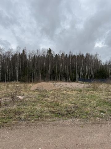 Ленинградская область, Селезнёвская территория, Придорожный проезд