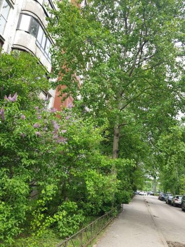 Кораблестроителей ул., 35Г