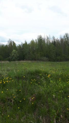 Полевая ул.