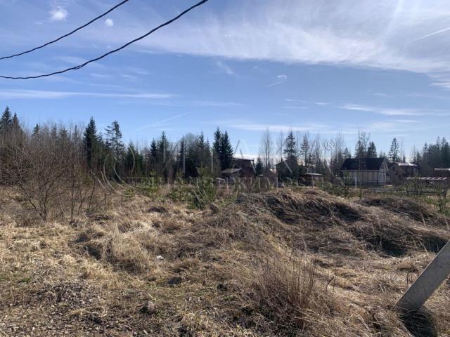 г. Сосновый Бор